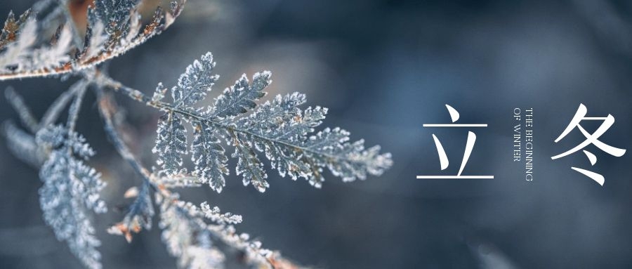 立冬 ▎朔風(fēng)始起，萬物境藏