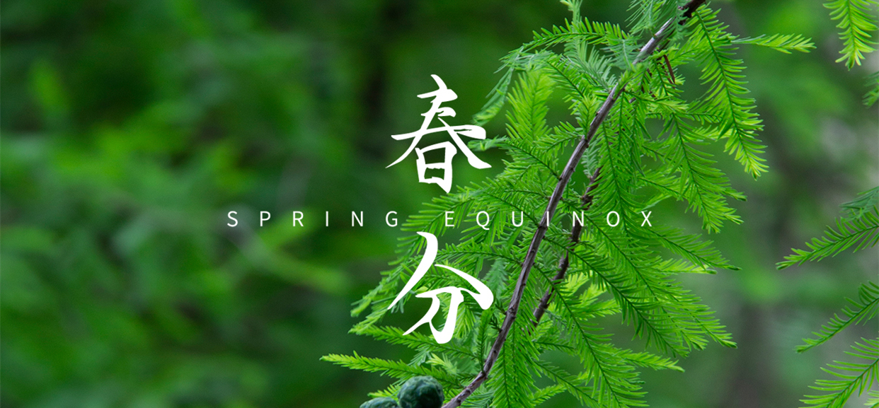 春分 ▎不負(fù)春光，萬物生長