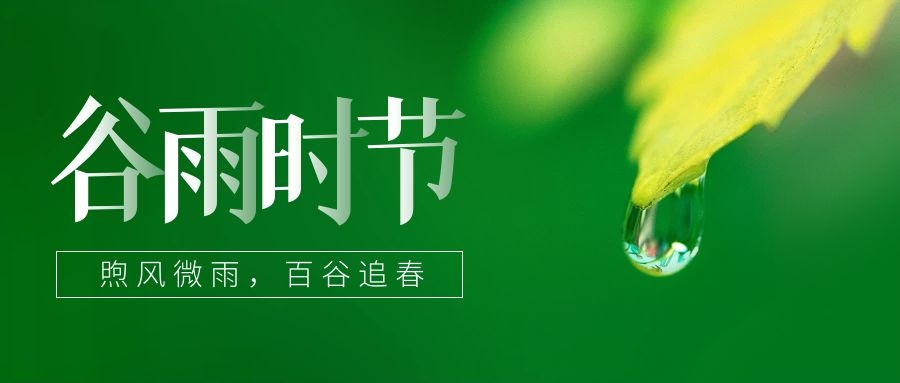 谷雨 ▎雨生百谷，鎖住一抹春色