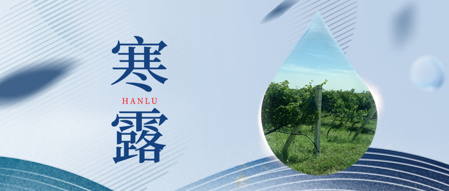 寒露丨夜露凝寒，萬物皆秋