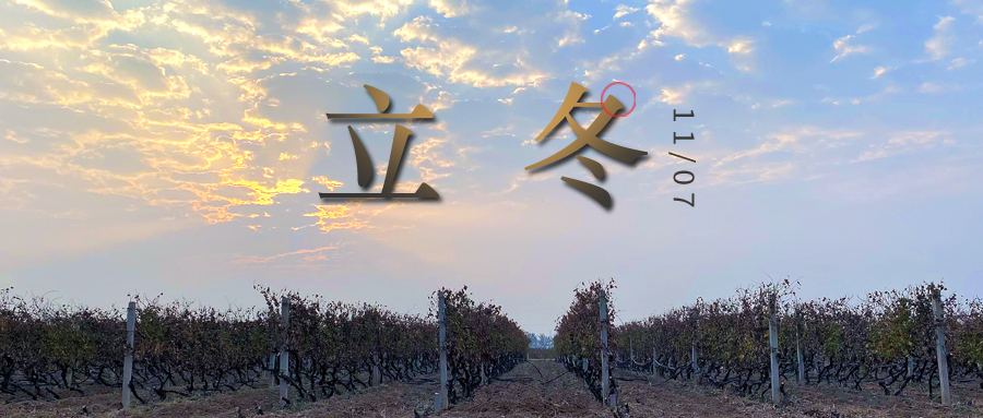 立冬 ▎四時有序，天地歸藏