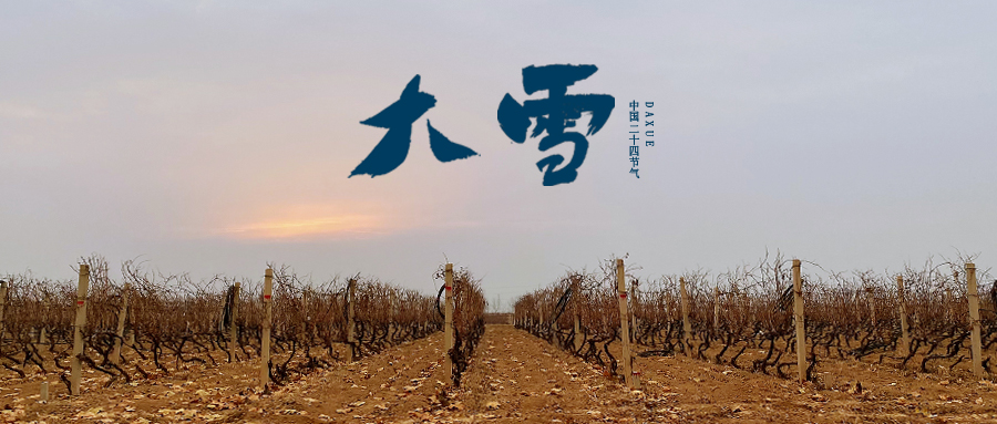 大雪 ▎世界留白，天地靜美