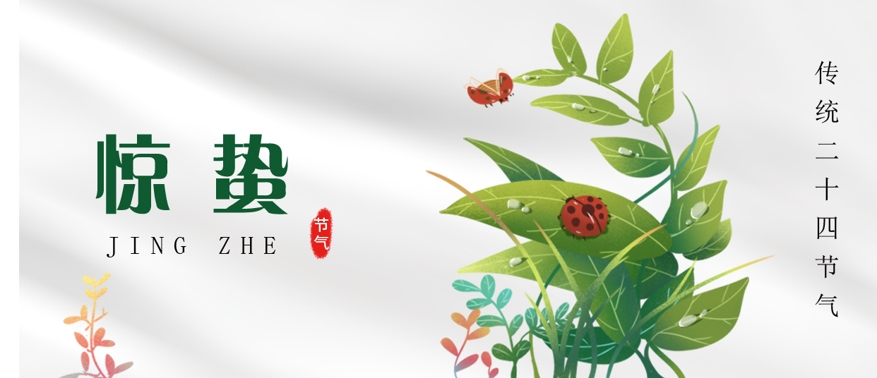 驚蟄 ▎雷鳴春醒，萬物生長